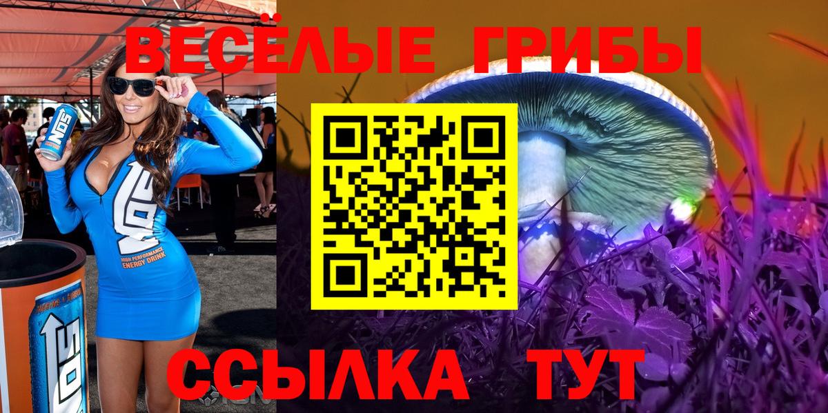 Псилоцибиновые грибы Magic Shrooms  Вход с VPN  Пушкино  Псилоцибиновые грибы прущие грибы 